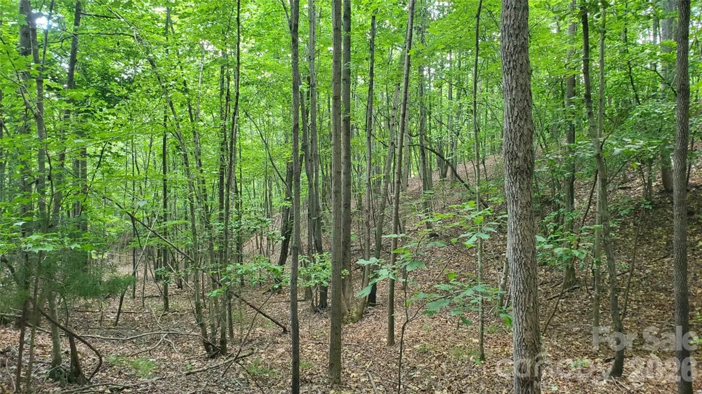 755 Hamilton Drive Columbus, NC 28722