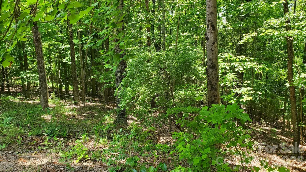 755 Hamilton Drive Columbus, NC 28722