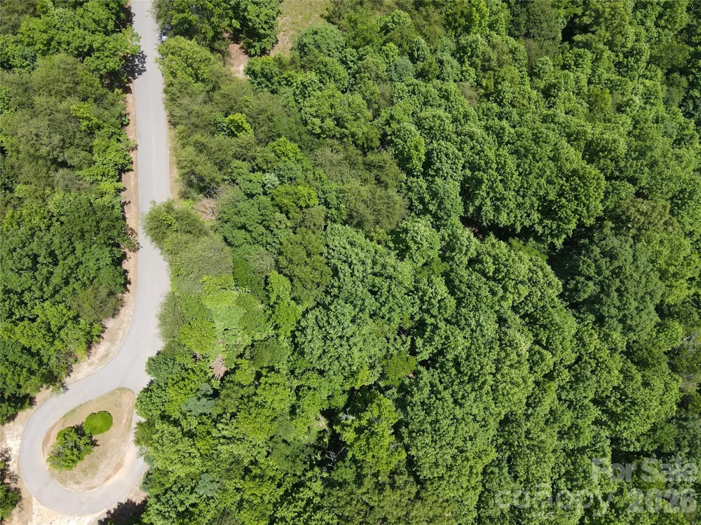 755 Hamilton Drive Columbus, NC 28722