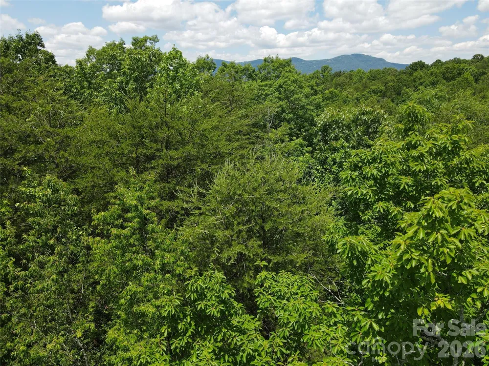 755 Hamilton Drive Columbus, NC 28722