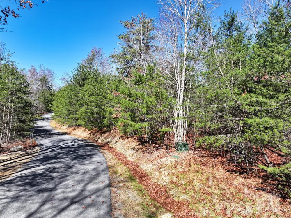 181 Red Fox Trail #18 Marshall, NC 28753