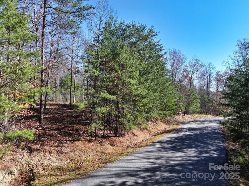 181 Red Fox Trail #18 Marshall, NC 28753