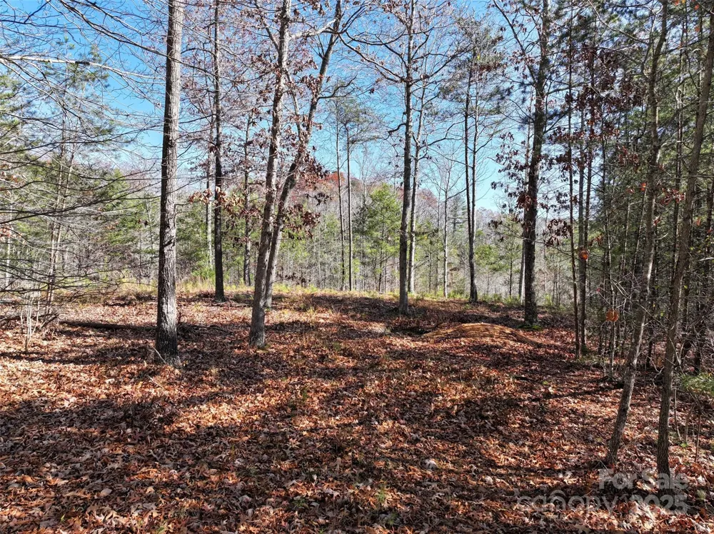 181 Red Fox Trail #18 Marshall, NC 28753