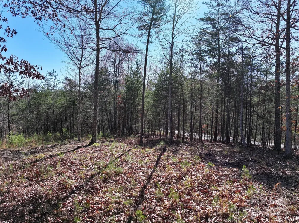 181 Red Fox Trail #18 Marshall, NC 28753