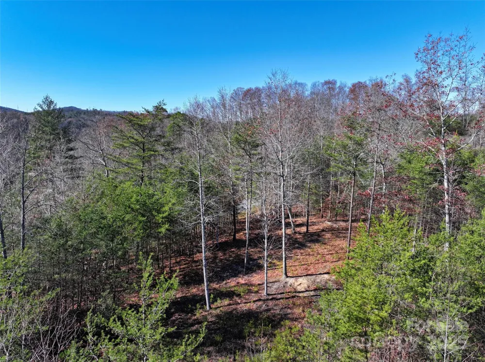 181 Red Fox Trail #18 Marshall, NC 28753