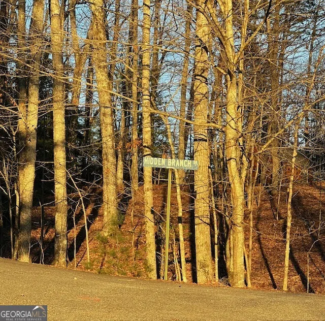 LOT 18 Hidden Branch Young Harris, GA 30582