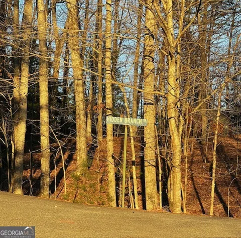 LOT 18 Hidden Branch