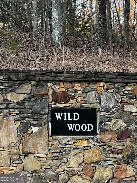 LOT 18 Hidden Branch Young Harris, GA 30582
