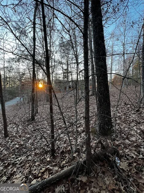 LOT 18 Hidden Branch Young Harris, GA 30582