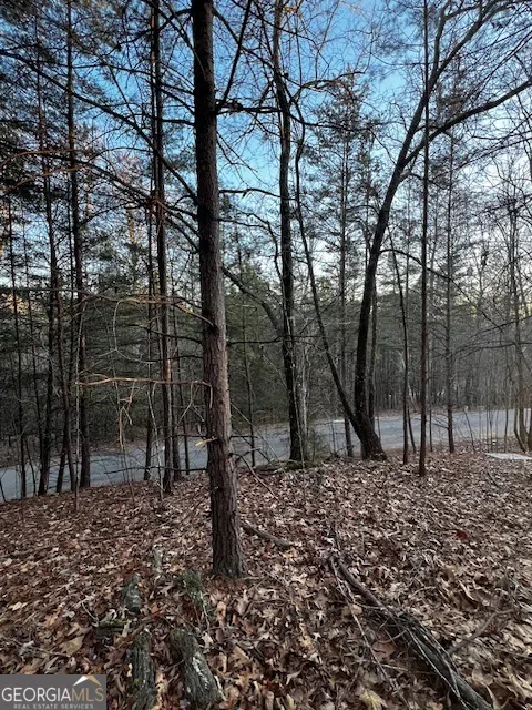 LOT 18 Hidden Branch Young Harris, GA 30582