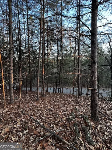 LOT 18 Hidden Branch Young Harris, GA 30582