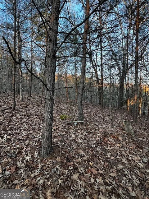 LOT 18 Hidden Branch Young Harris, GA 30582