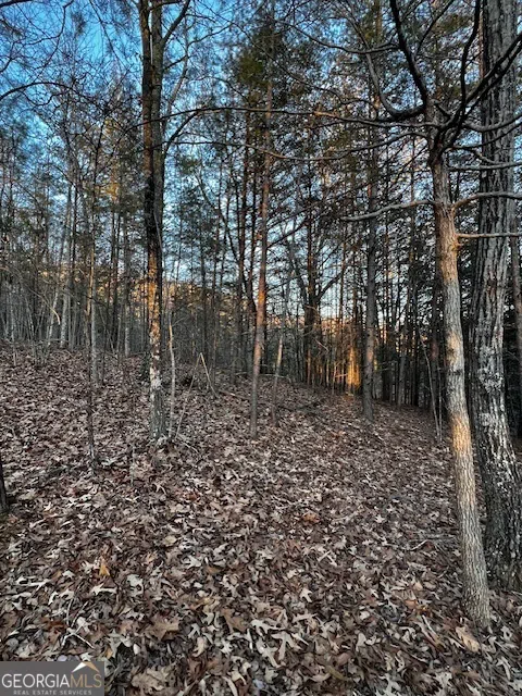 LOT 18 Hidden Branch Young Harris, GA 30582