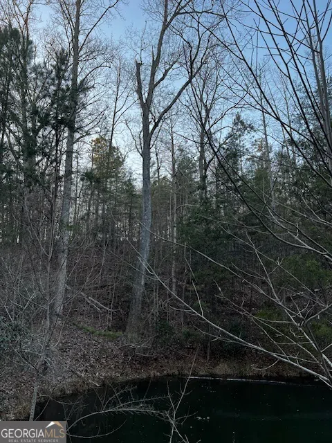 LOT 18 Hidden Branch Young Harris, GA 30582