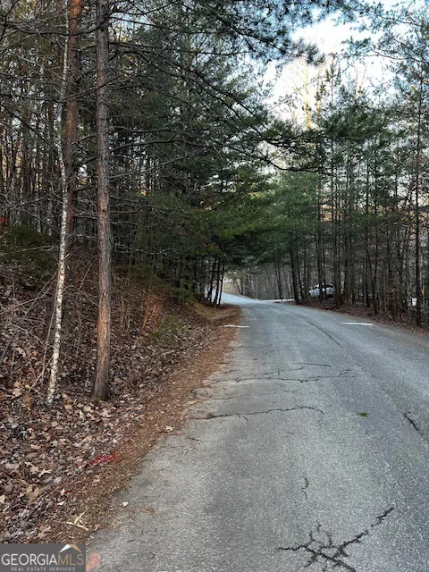 LOT 18 Hidden Branch Young Harris, GA 30582