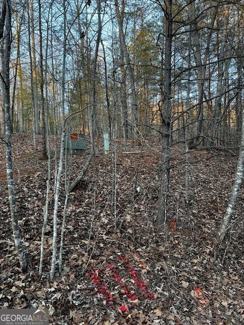 LOT 18 Hidden Branch Young Harris, GA 30582