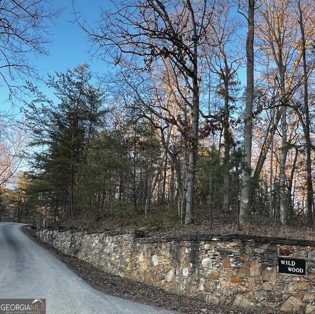 LOT 18 Hidden Branch Young Harris, GA 30582