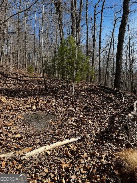 LOT 54 Sunny View DR Blairsville, GA 30512