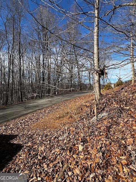 LOT 54 Sunny View DR Blairsville, GA 30512