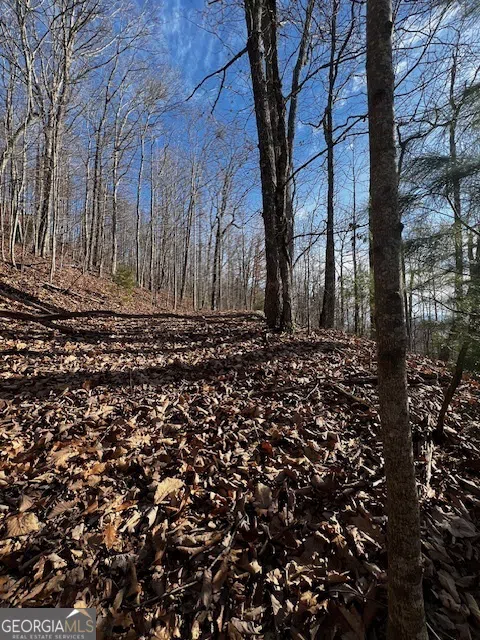 LOT 54 Sunny View DR Blairsville, GA 30512