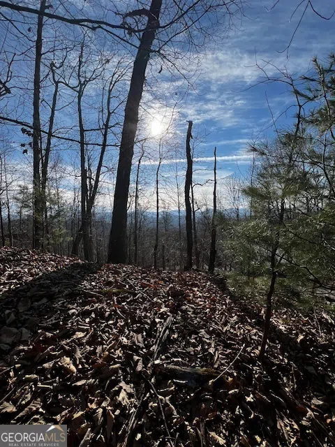 LOT 54 Sunny View DR Blairsville, GA 30512