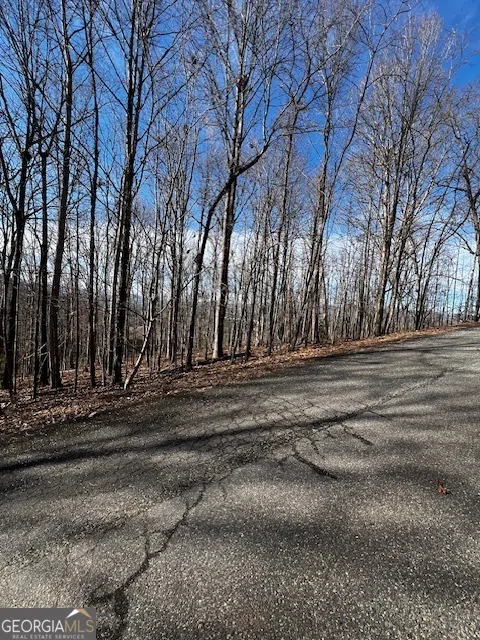LOT 54 Sunny View DR Blairsville, GA 30512