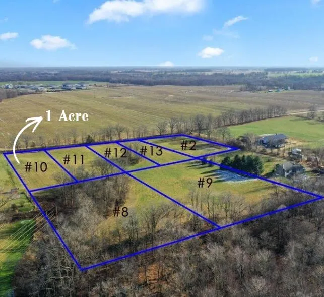 Parcel 10 Kingston Road Ionia, MI 48846