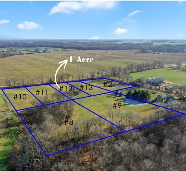 Parcel 12 Kingston Road Ionia, MI 48846