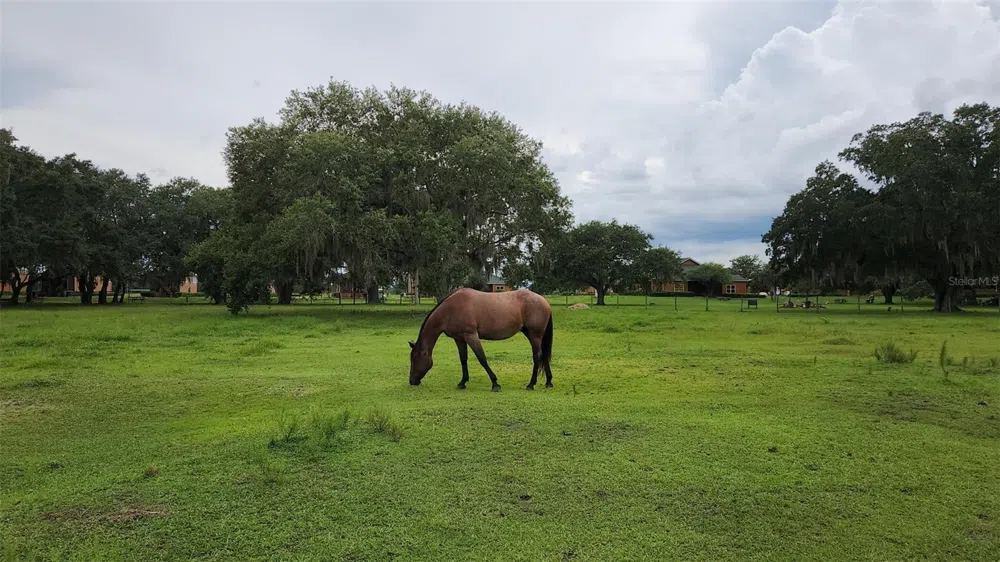 253 SADDLE LANE River Ranch, FL 33867