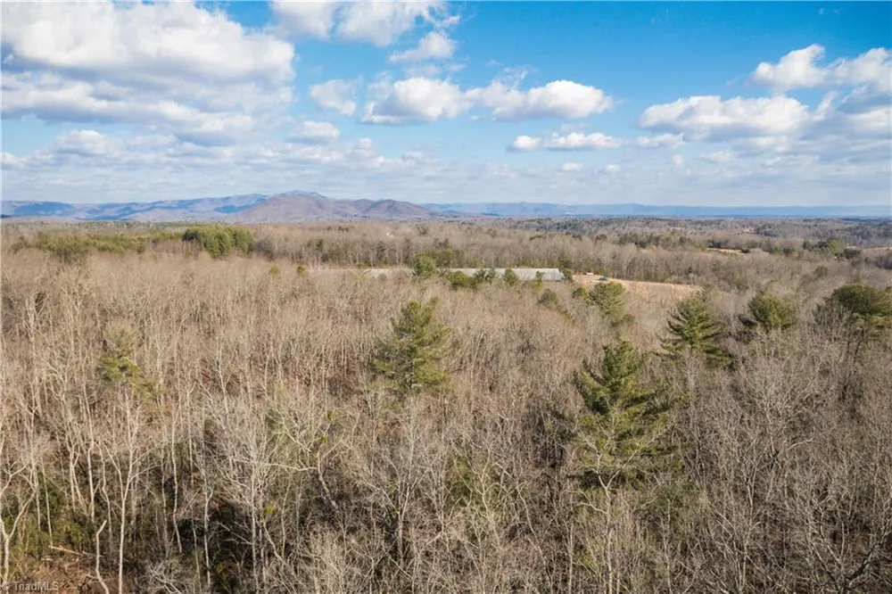 17.96 Acres Aubrey Thomas Lane Dobson, NC 27017
