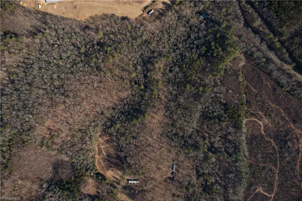 17.96 Acres Aubrey Thomas Lane Dobson, NC 27017