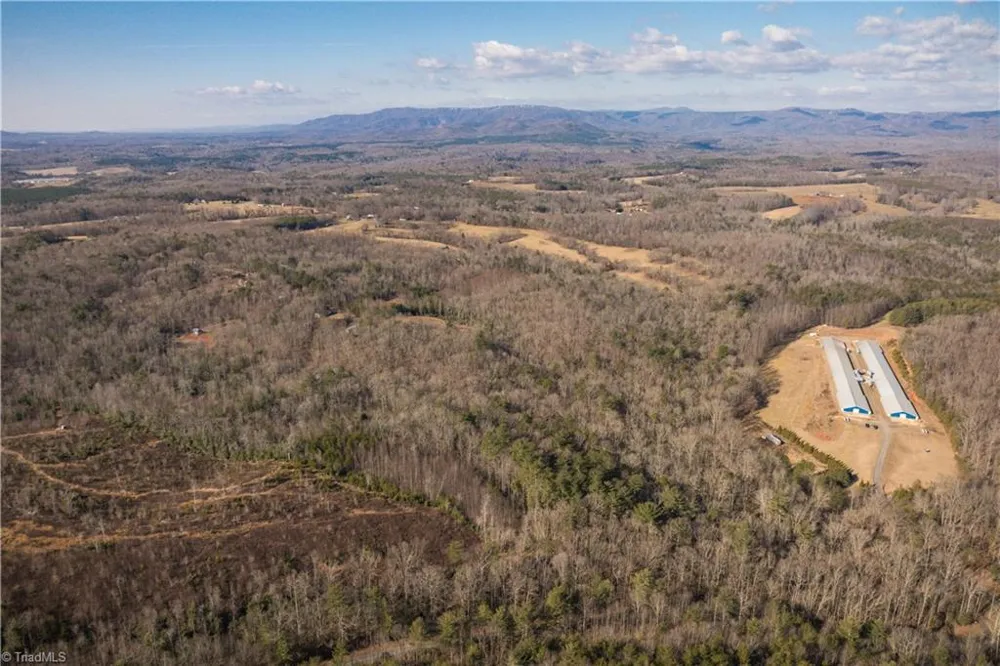 17.96 Acres Aubrey Thomas Lane Dobson, NC 27017