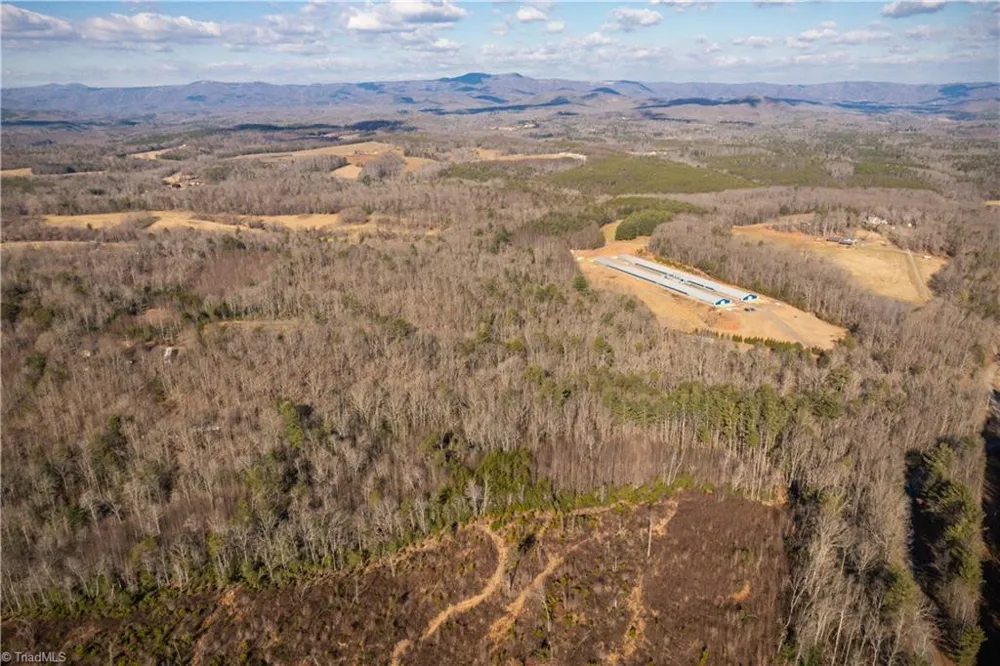 17.96 Acres Aubrey Thomas Lane Dobson, NC 27017