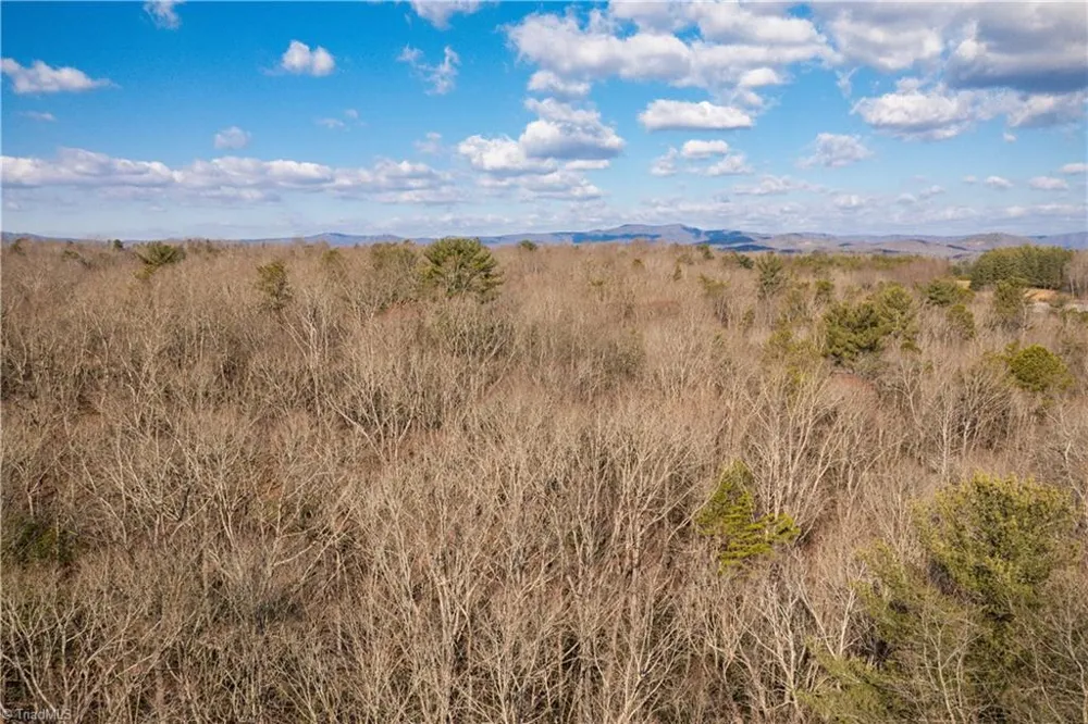 17.96 Acres Aubrey Thomas Lane Dobson, NC 27017