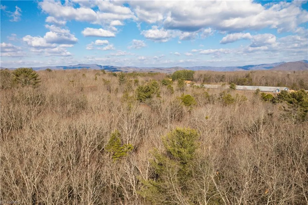 17.96 Acres Aubrey Thomas Lane Dobson, NC 27017