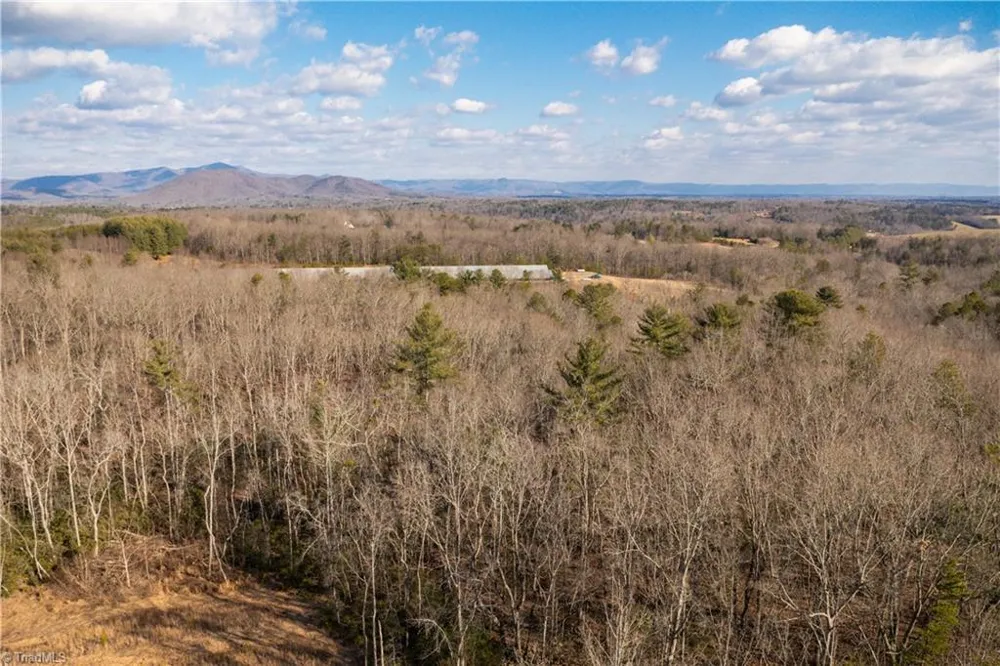 17.96 Acres Aubrey Thomas Lane Dobson, NC 27017