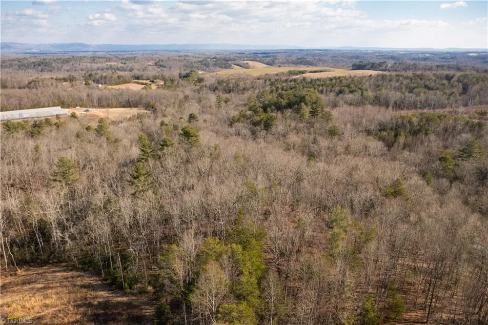 17.96 Acres Aubrey Thomas Lane Dobson, NC 27017