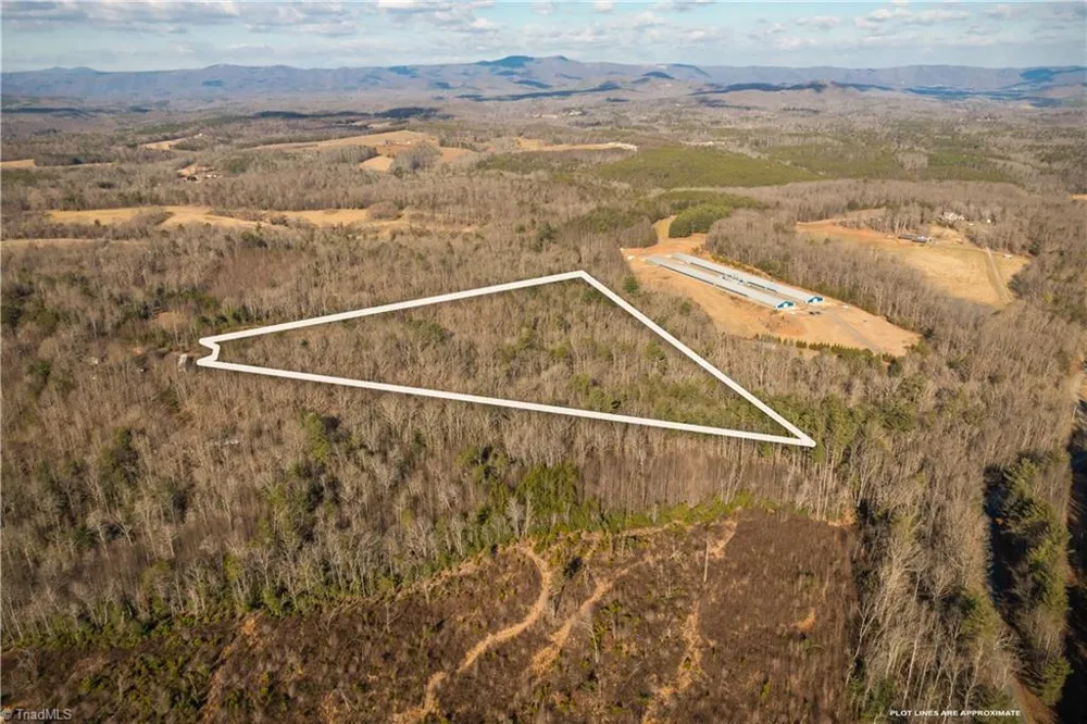 17.96 Acres Aubrey Thomas Lane Dobson, NC 27017