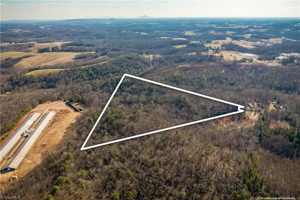 17.96 Acres Aubrey Thomas Lane Dobson, NC 27017