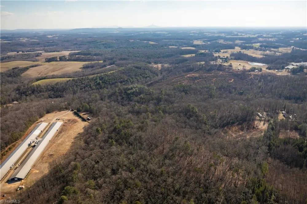 17.96 Acres Aubrey Thomas Lane Dobson, NC 27017