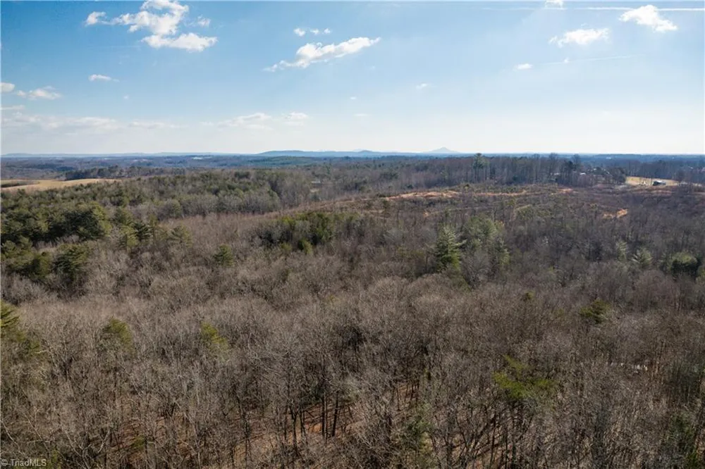 17.96 Acres Aubrey Thomas Lane Dobson, NC 27017