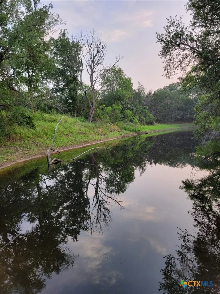 1463 Whispering Woods Trail New Braunfels, TX 78132
