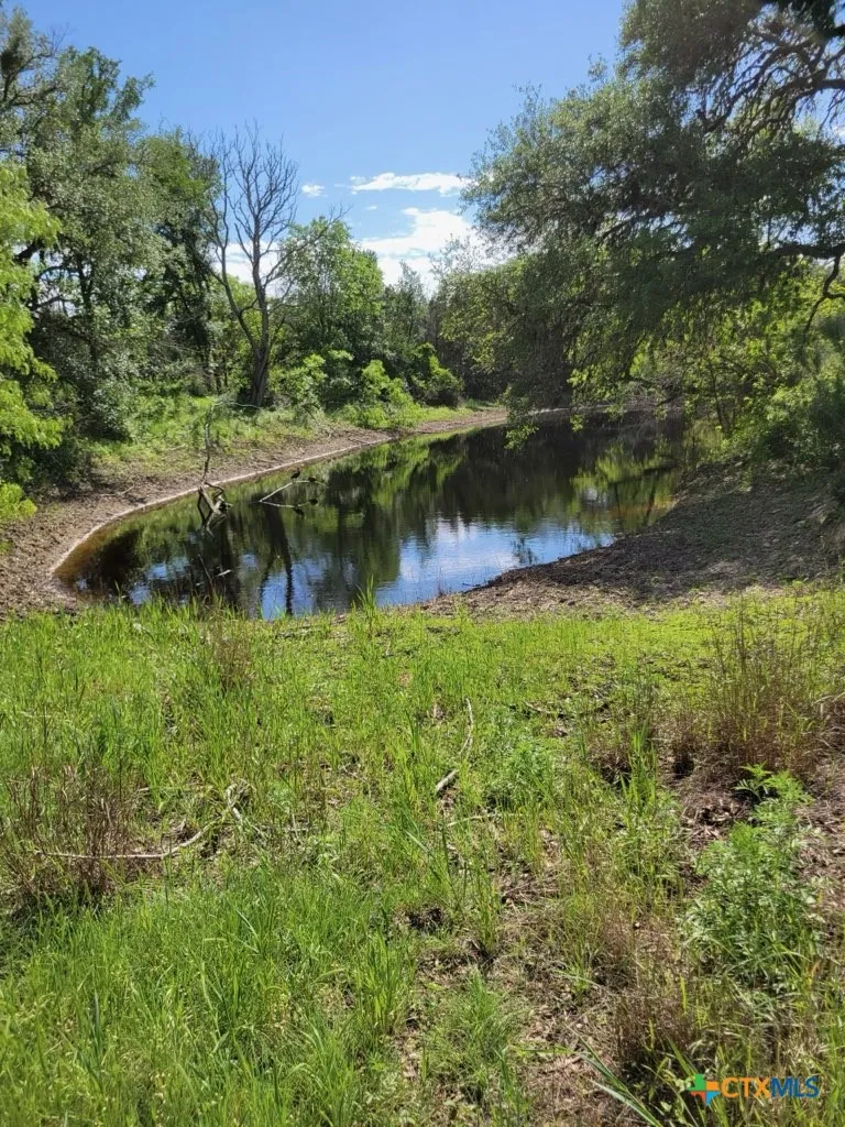1463 Whispering Woods Trail New Braunfels, TX 78132