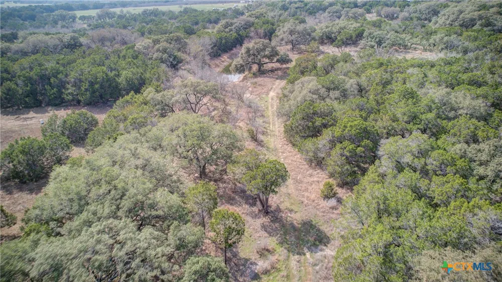 1463 Whispering Woods Trail New Braunfels, TX 78132