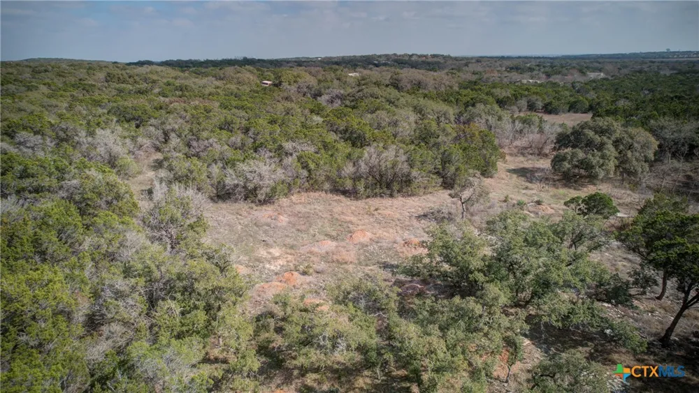 1463 Whispering Woods Trail New Braunfels, TX 78132
