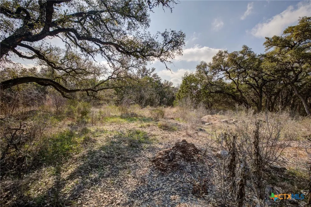 1463 Whispering Woods Trail New Braunfels, TX 78132