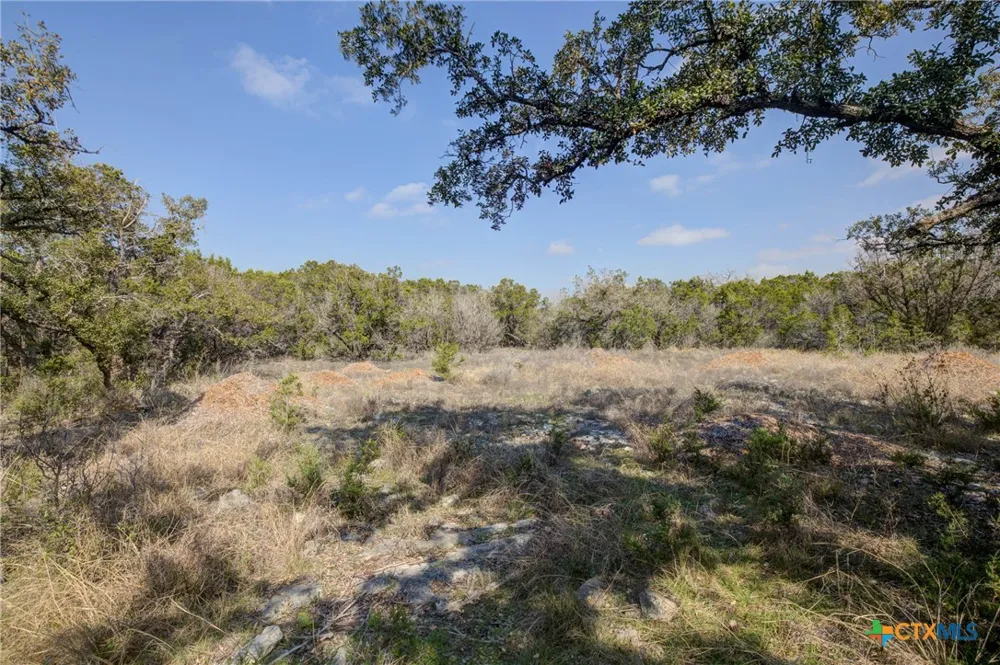 1463 Whispering Woods Trail New Braunfels, TX 78132