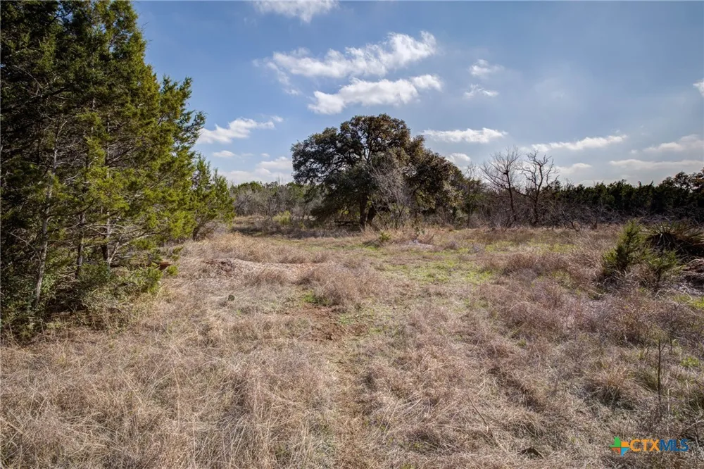 1463 Whispering Woods Trail New Braunfels, TX 78132