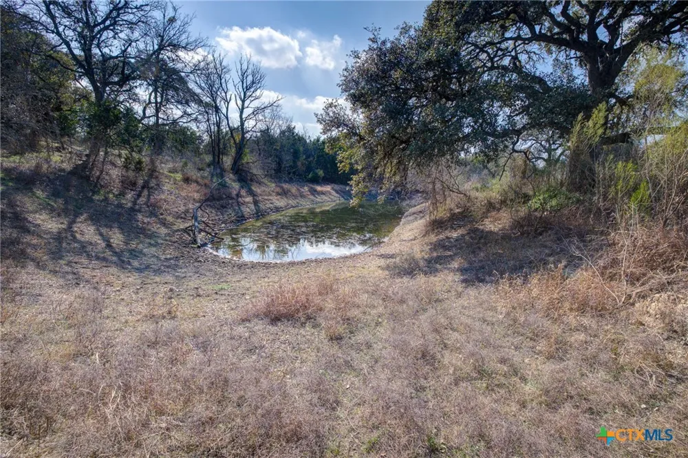 1463 Whispering Woods Trail New Braunfels, TX 78132