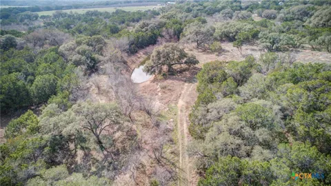 1463 Whispering Woods Trail